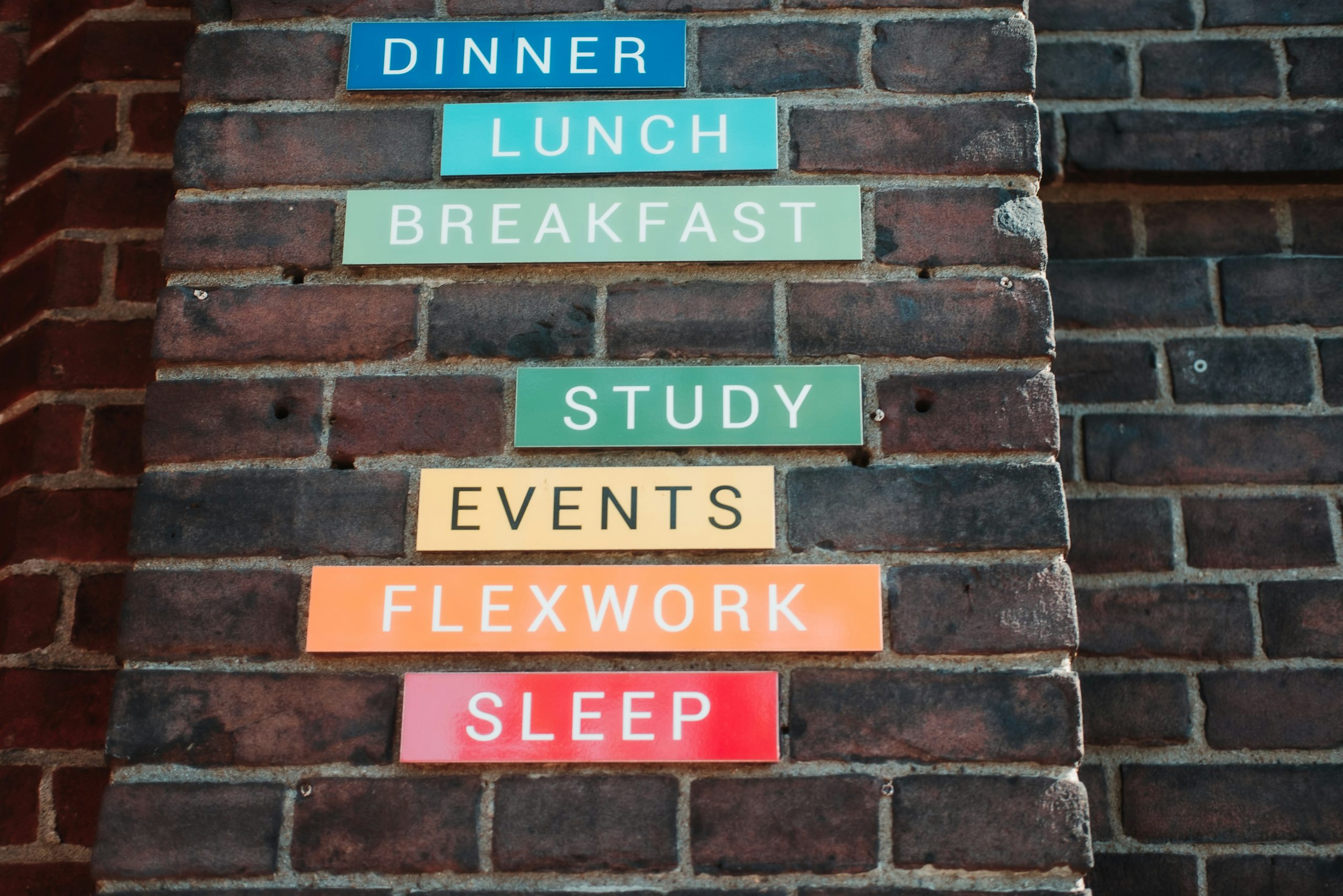 Study Start studenti
