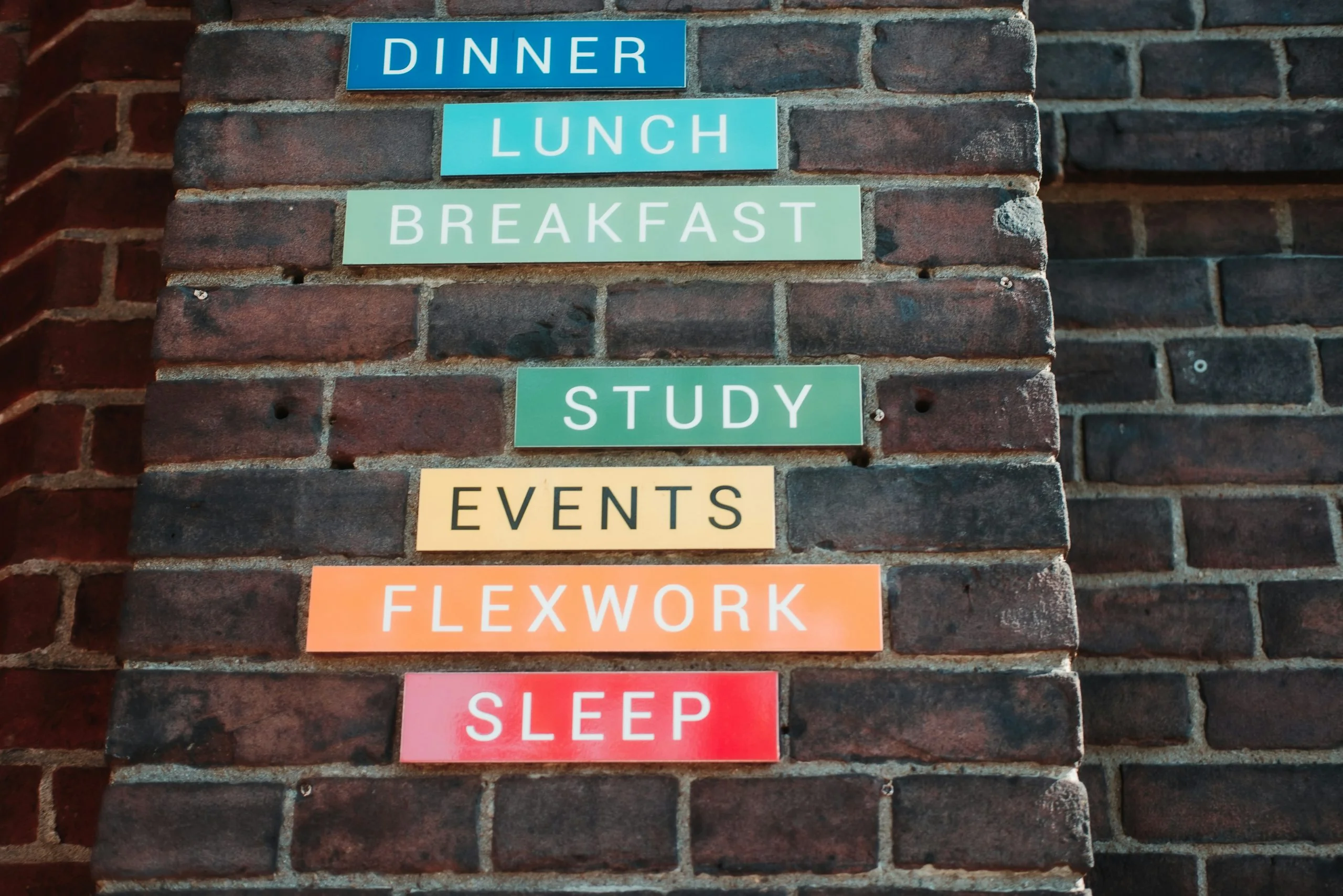 Study Start studenti